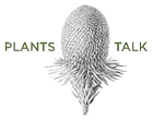 Plants Talk Witzenhausen 2011